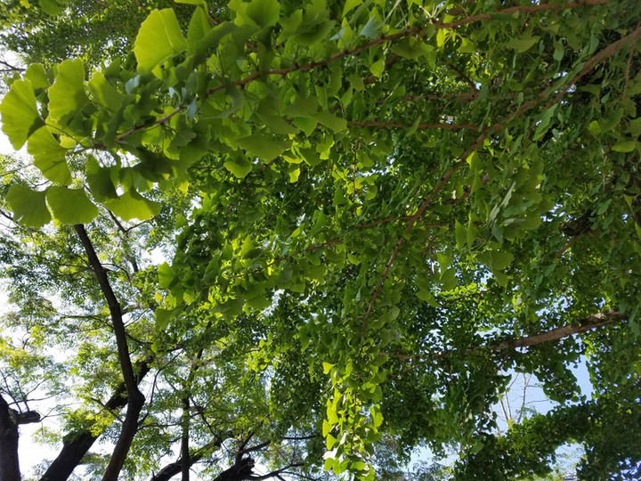 土曜エルグ