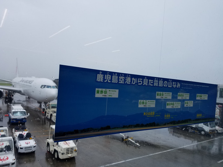 早朝