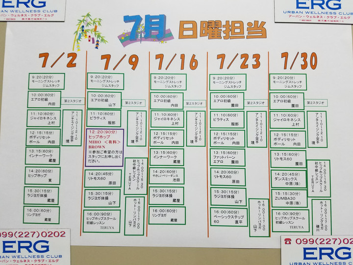 日曜エルグ