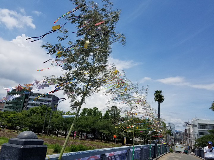夏のお知らせ