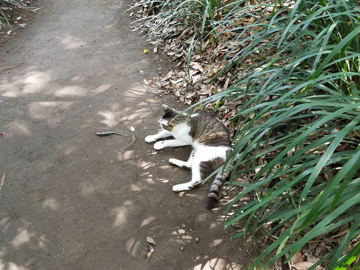 生きとし生けるもの