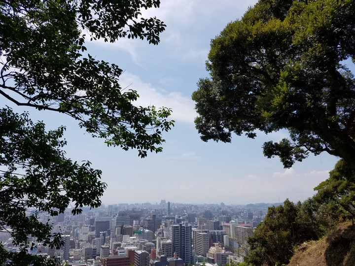12日実践コース