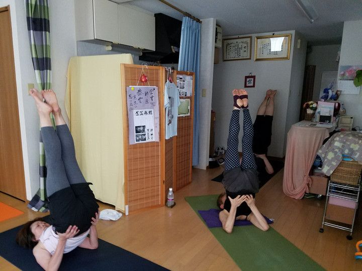 14日バンブー