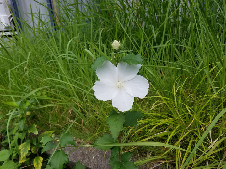 身体からのメッセージ