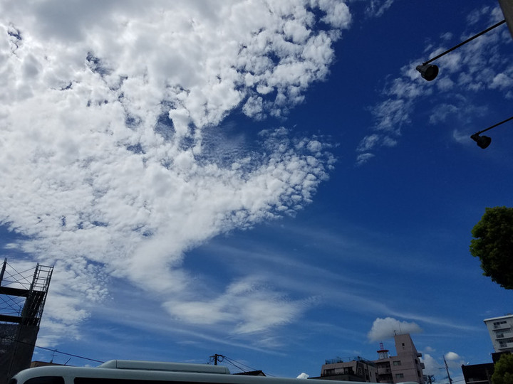 月の日