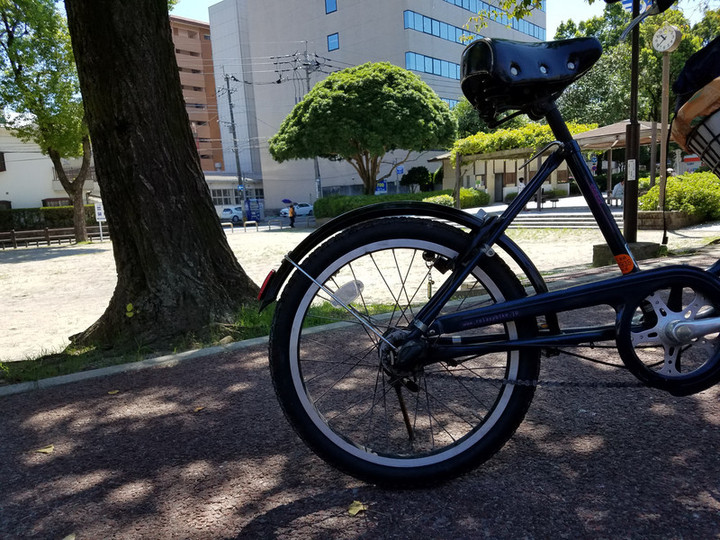 朝