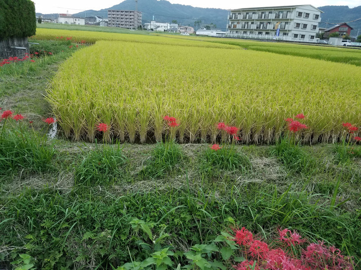 本物の鍛え方