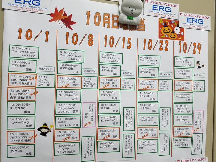 日曜エルグ