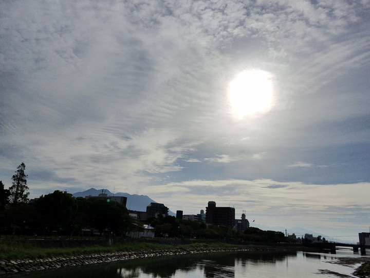 日曜エルグ