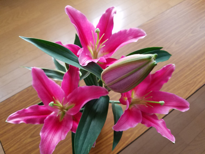 トキメキ