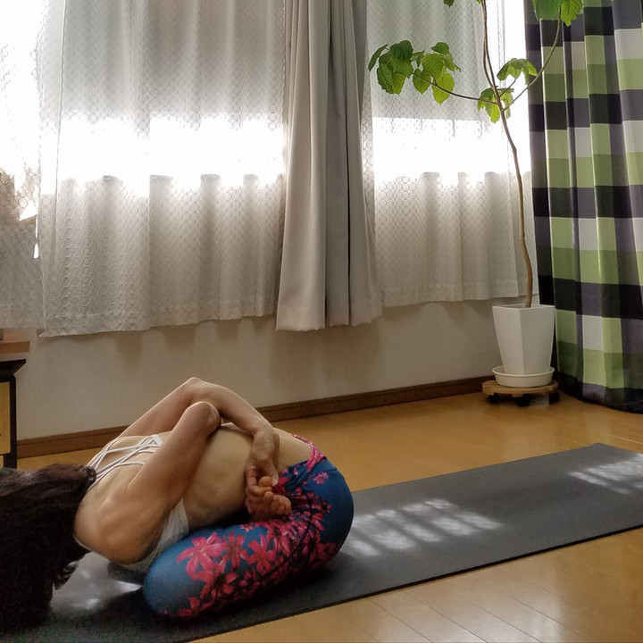 バンダ