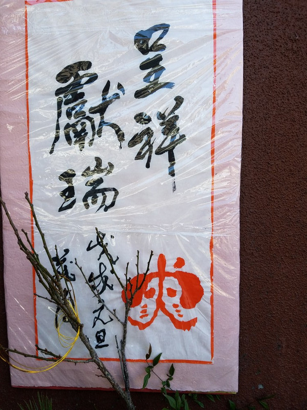 迎春