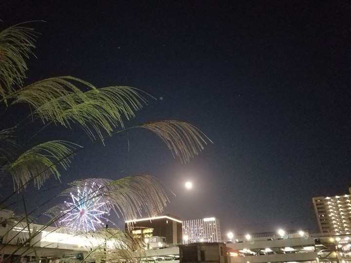 ニューイヤー　スーパームーン