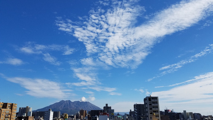 朝