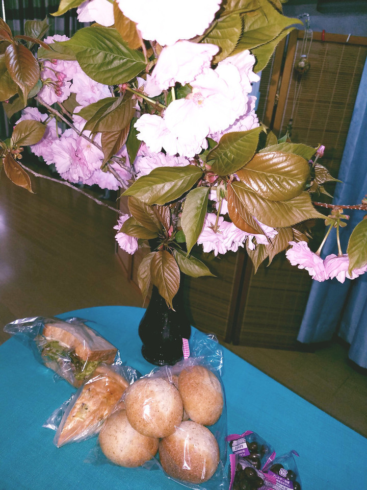バンブーで花見できるぞ