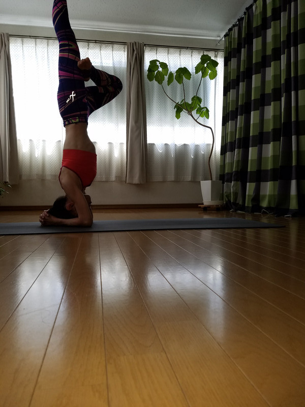 研修部