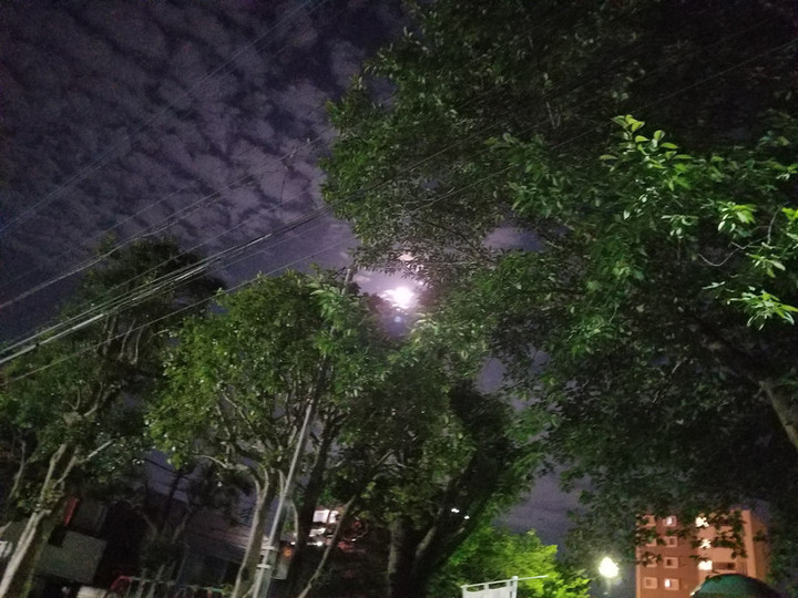 昨夜の月
