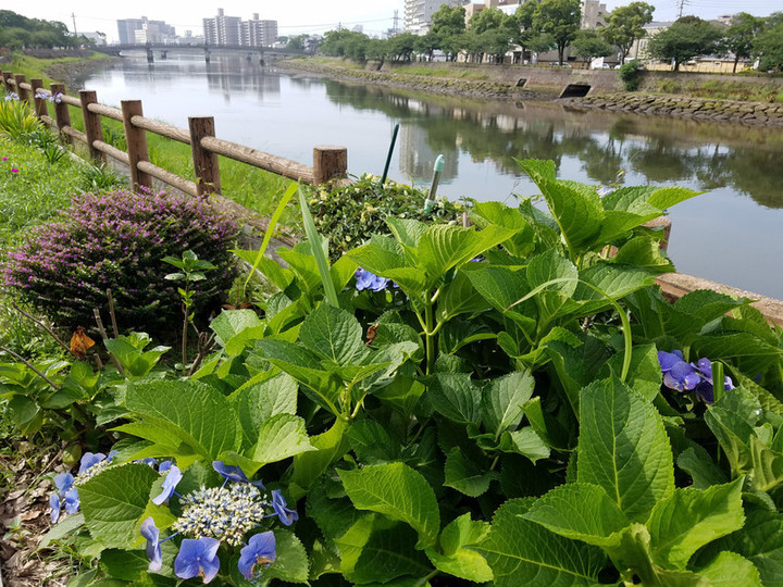 本日は、テクノ