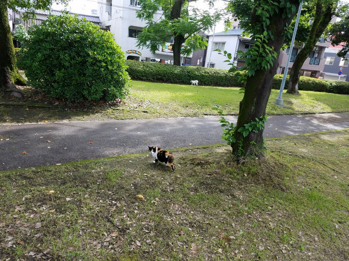 6月10日
