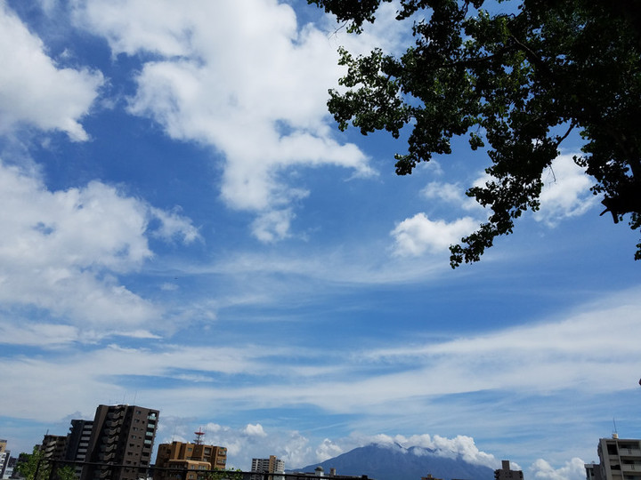 いつまで？夏