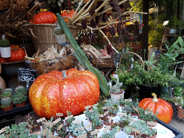 ハロウィン
