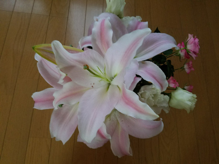 春のよう