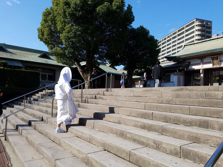 本日も晴天