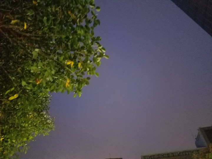 夜明け