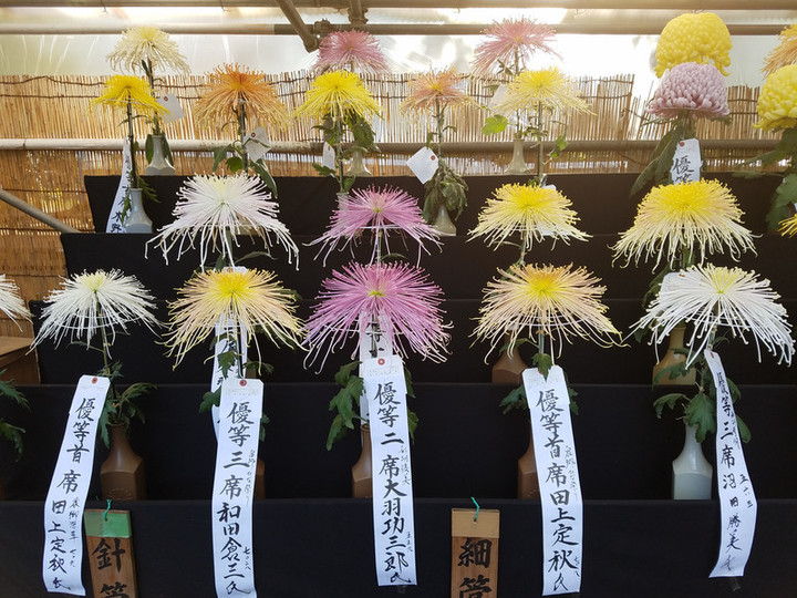 仙巌園ほど、賑わいなくても