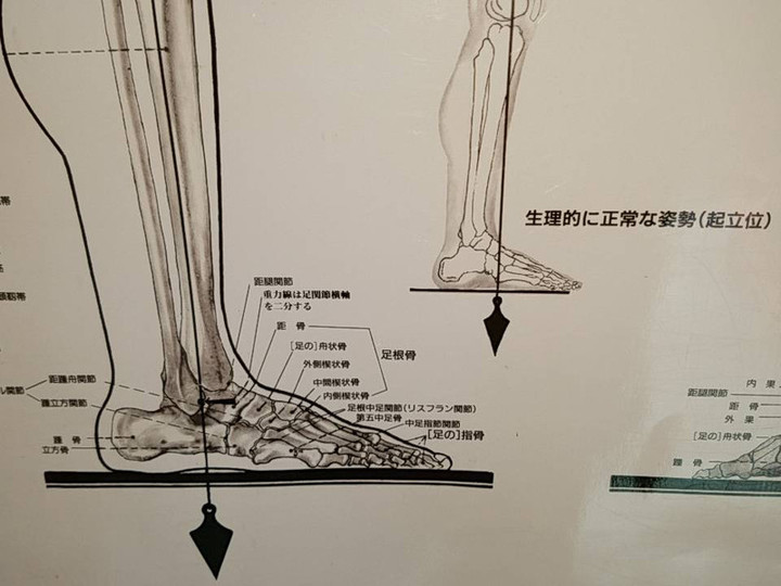 真面目ヨーギー