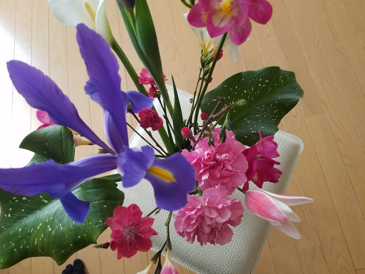 毎朝の楽しみ