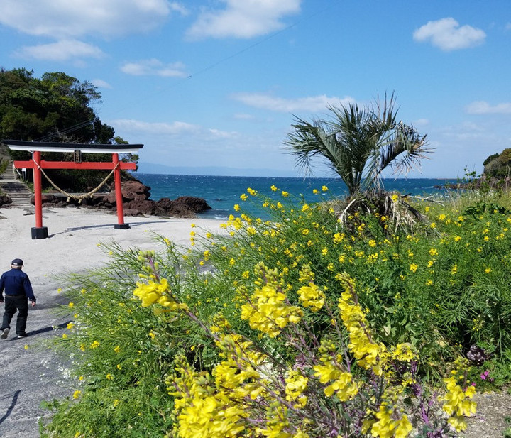 強風でも