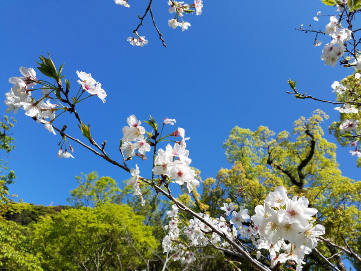 恵みの春