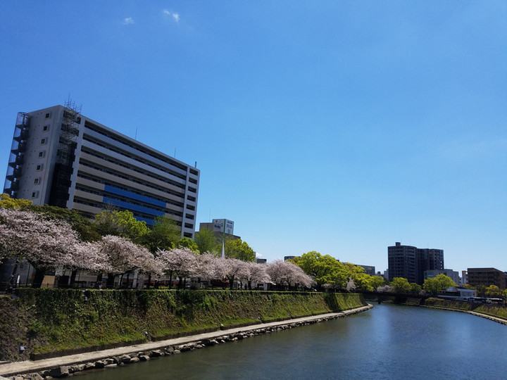 14日テクノ