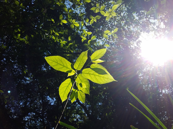 5月6日変更