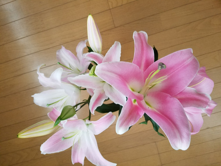 積み重ね