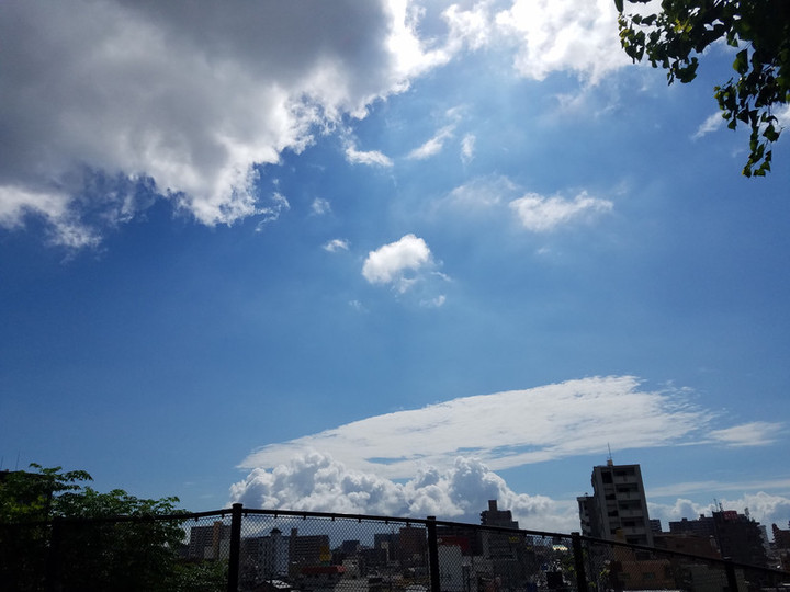 夏夏夏ーー🎵