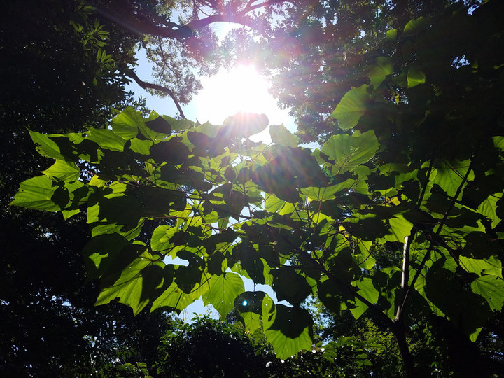 激しい土曜日