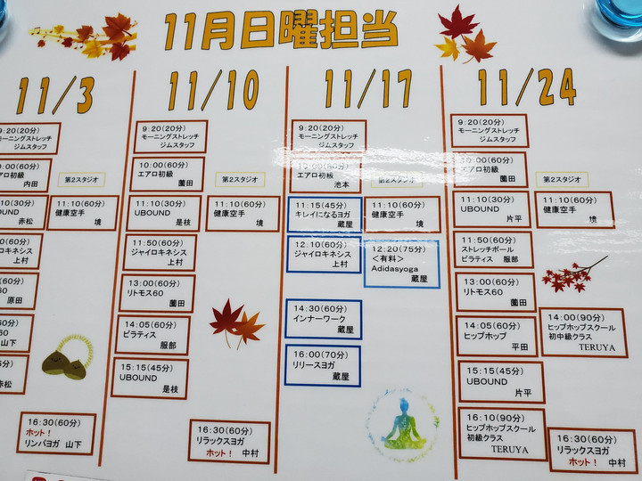 11月日曜エルグ