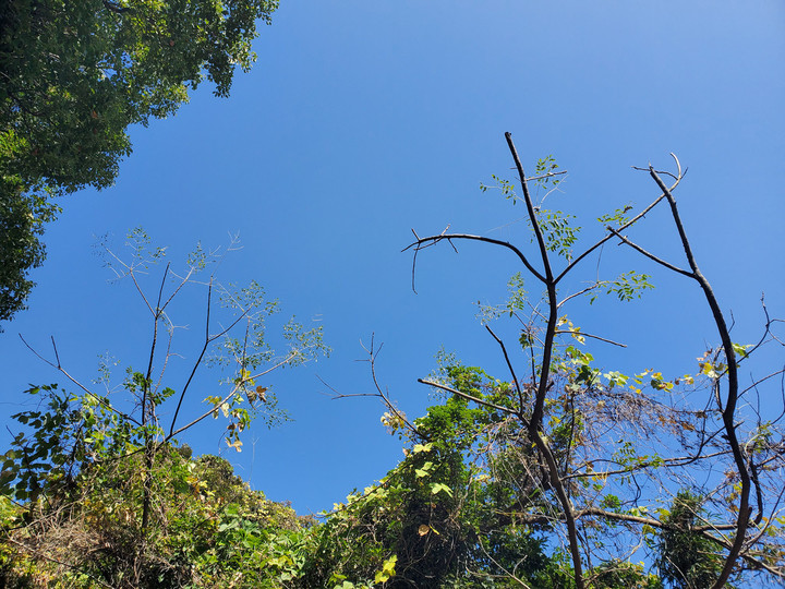 冬枯れの山も落ち着く