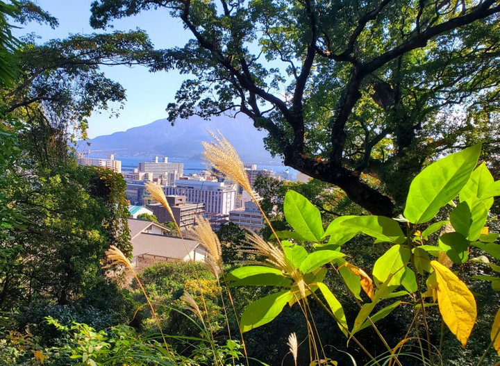 スケジュール☆クラス