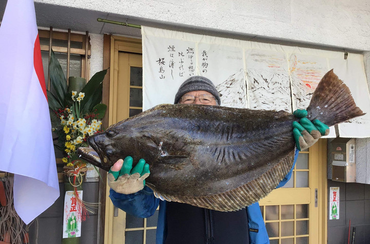 新年初の日曜エルグ