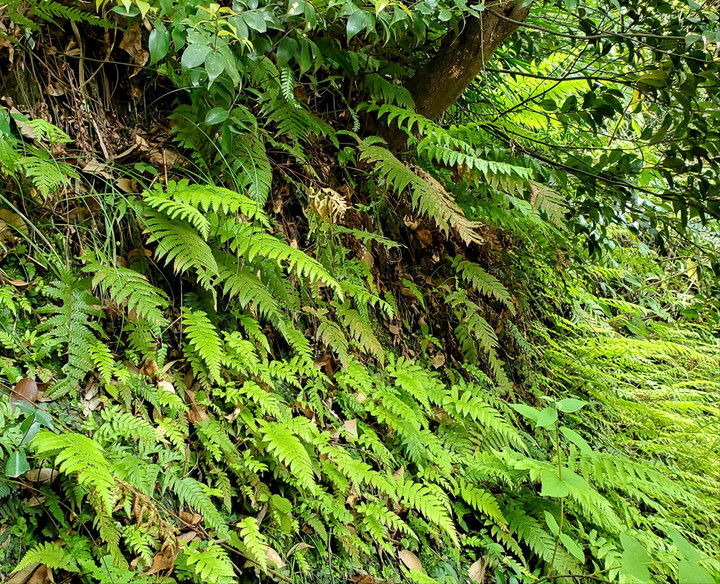 5月GWトレーニングコース