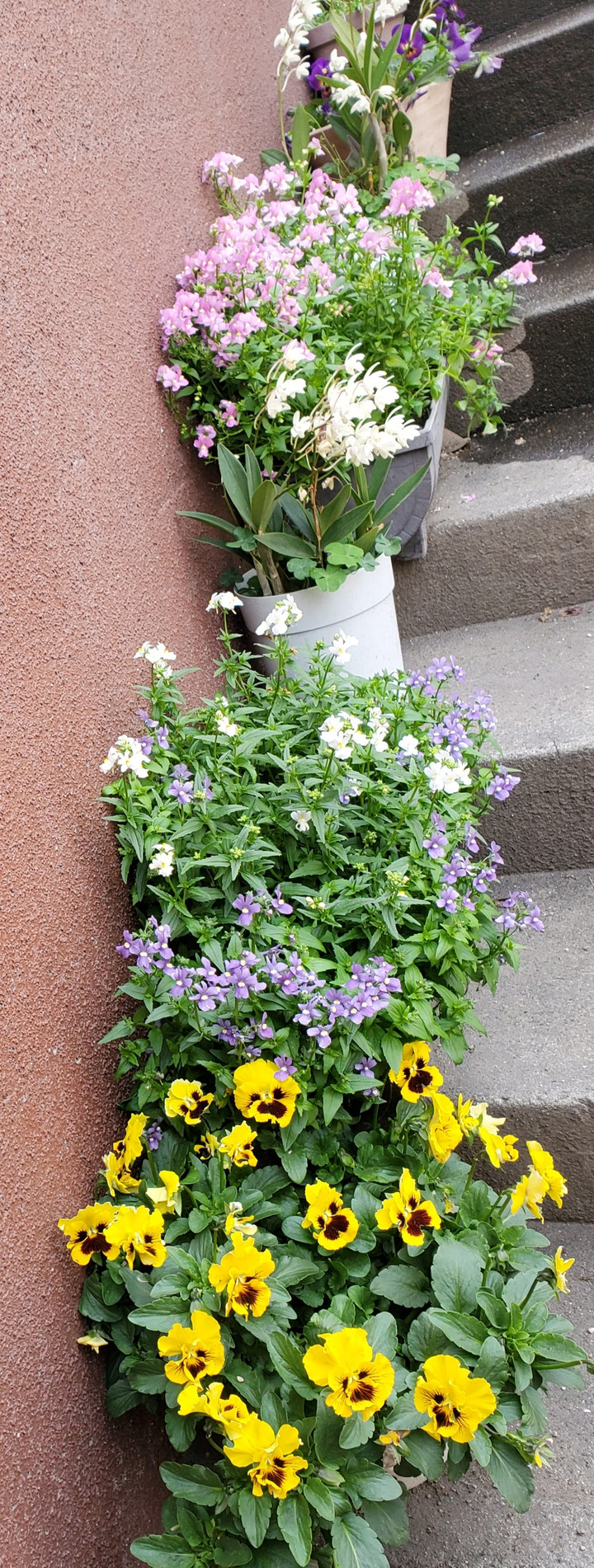 5月スケジュールもう暫くm(__)m