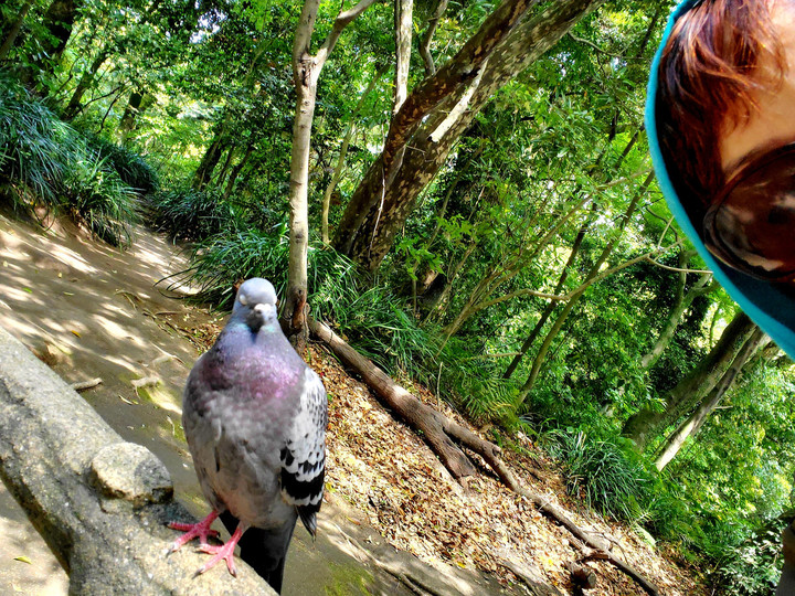 エルグ、テクノ休業