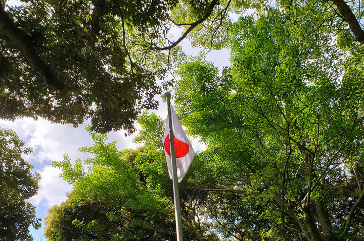 明日からのバンブー