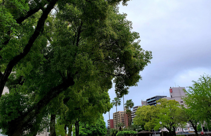 これまでにない連休