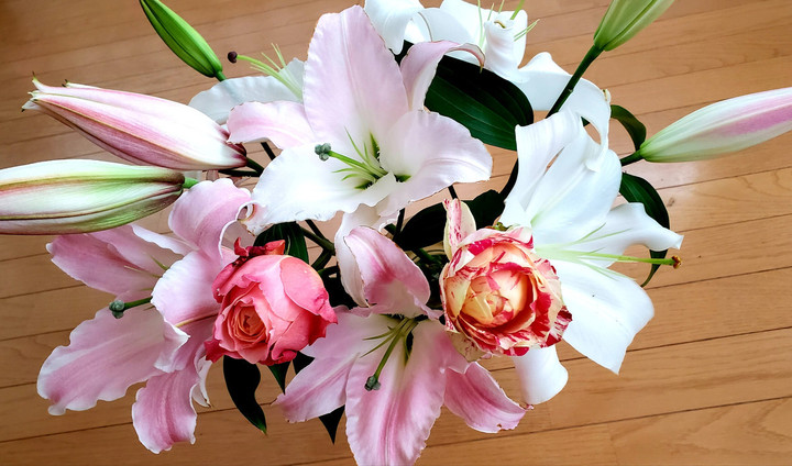 エルグ　テクノ再開