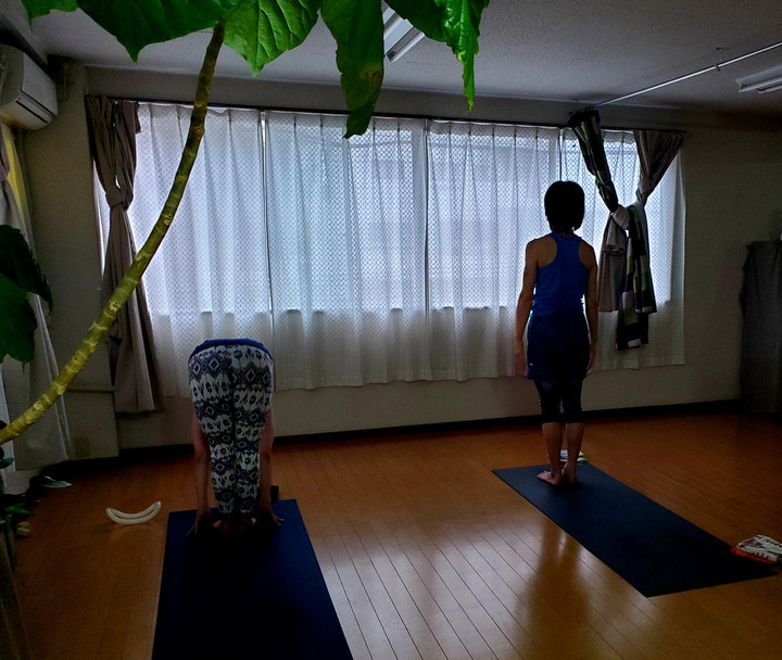 早朝続くバンブー