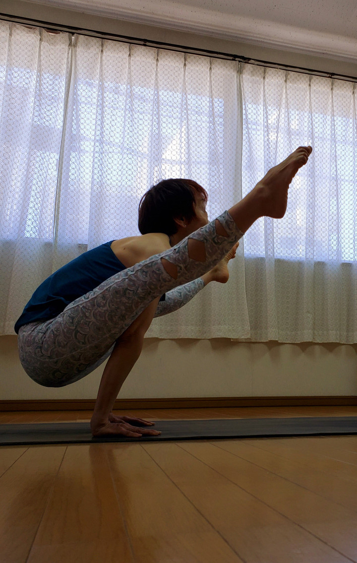 ６月スタート⭐エルグ